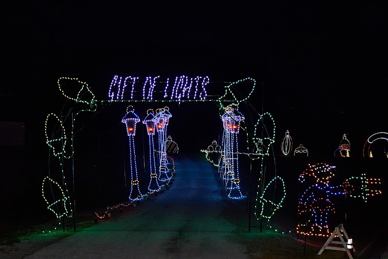 Gift of Lights- Texas