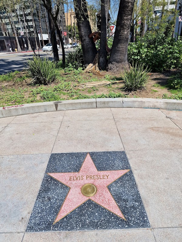 Elvis Presley's Star
