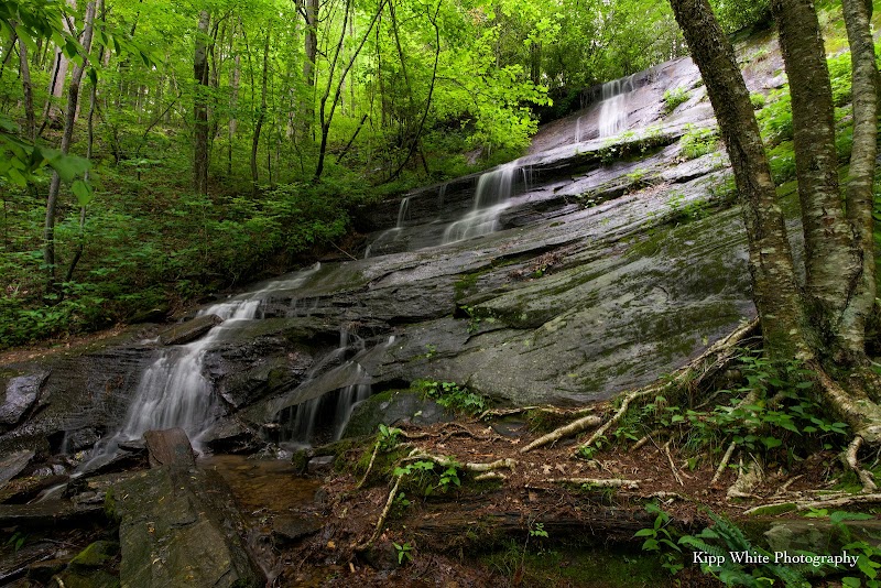 Barnett Branch Falls