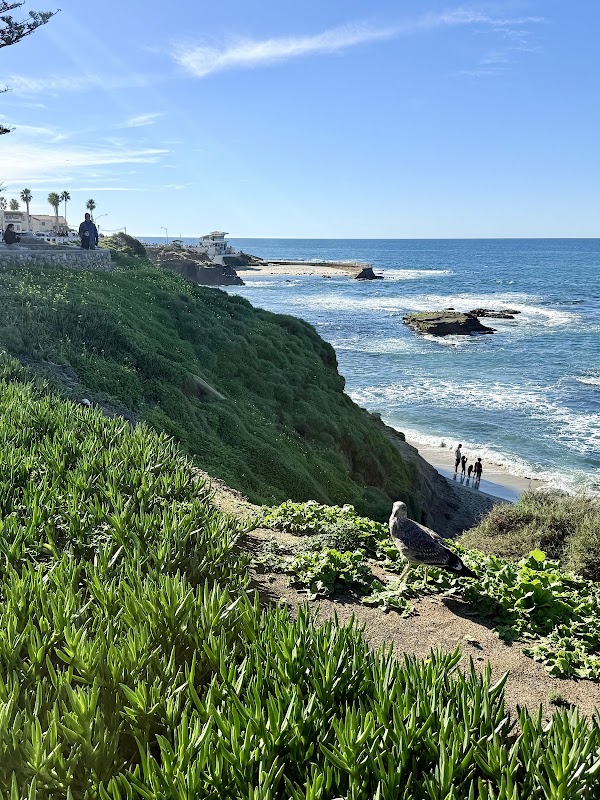 La Jolla Cove & Wildlife Refuge