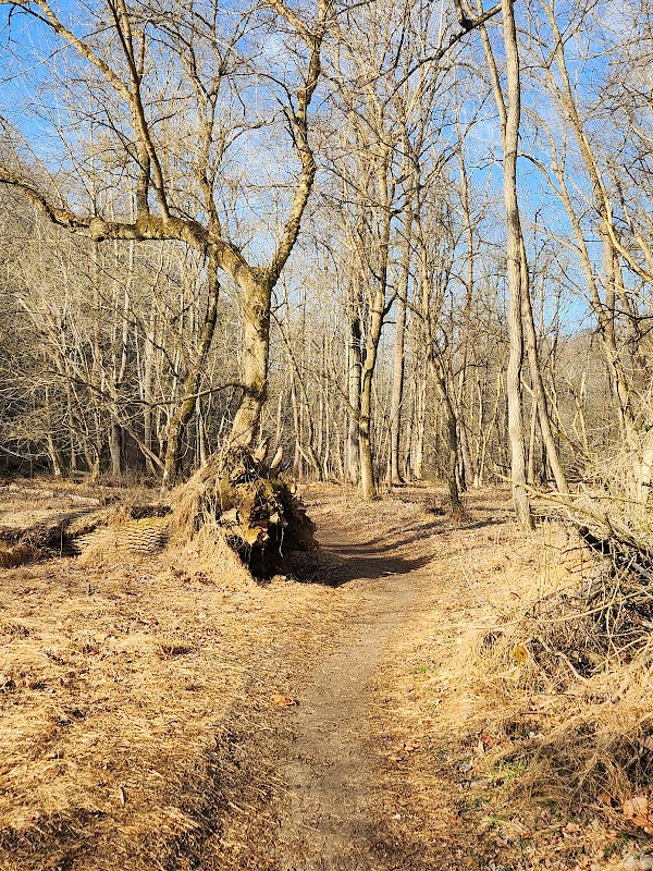 Patapsco Valley State Park - Thru Trail