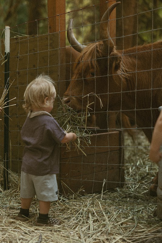 Highland Farms