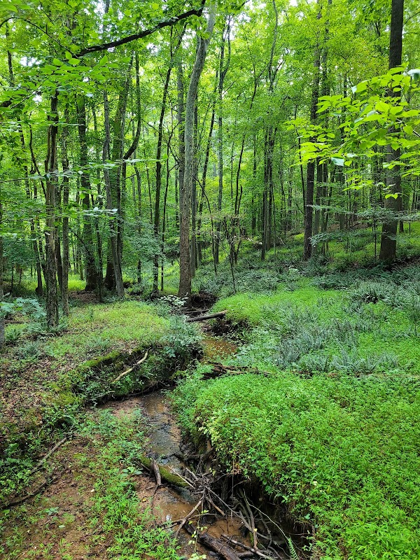 Roberts Chapel Conservation Area