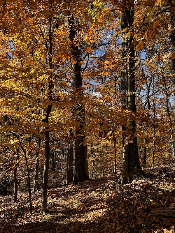 Cylburn Arboretum
