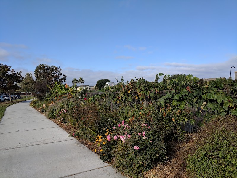 Sunrise Community Garden