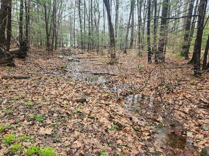 Batchelder Pond Trails