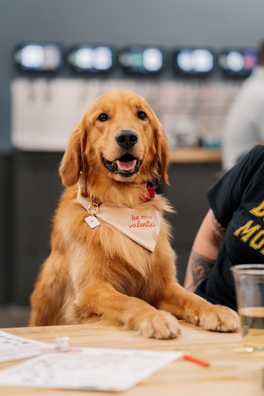 Crate Escapes Dog Park + Bar