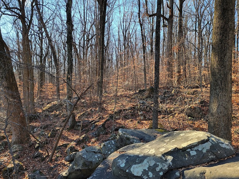 Sourland Mountain Preserve