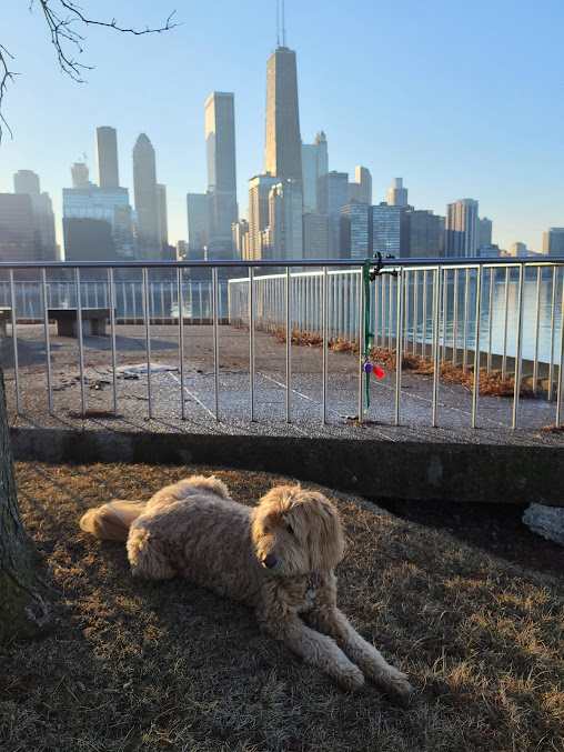 Milton Lee Olive Park