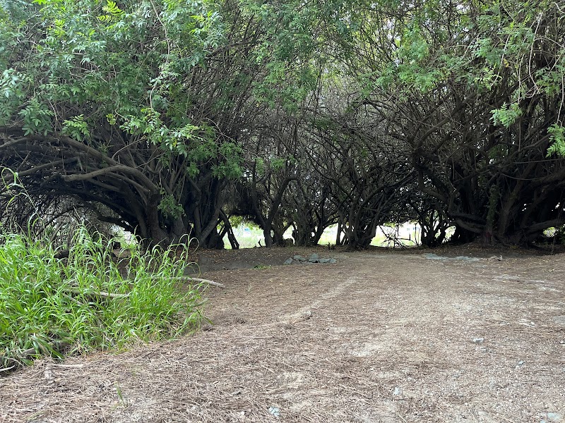 Sweetwater Park Trail