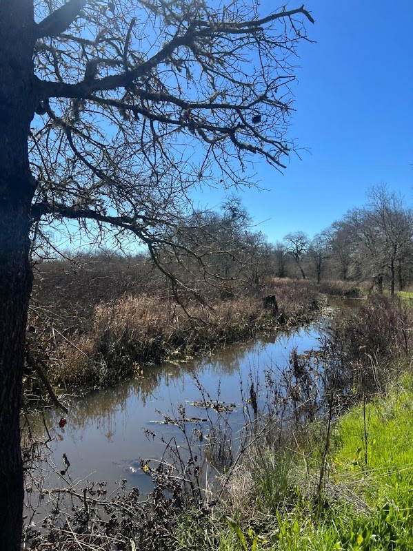 Laguna de Santa Rosa Trail