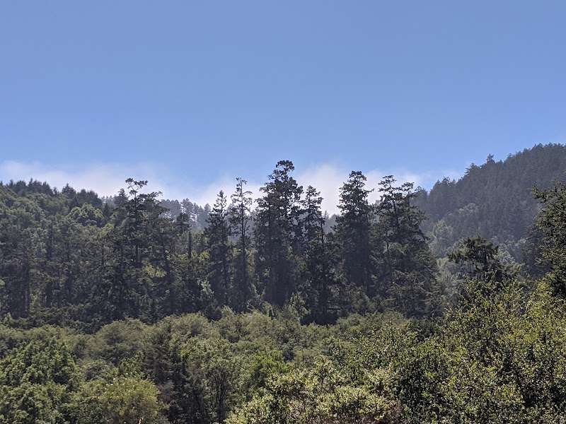 Olema Valley Trail