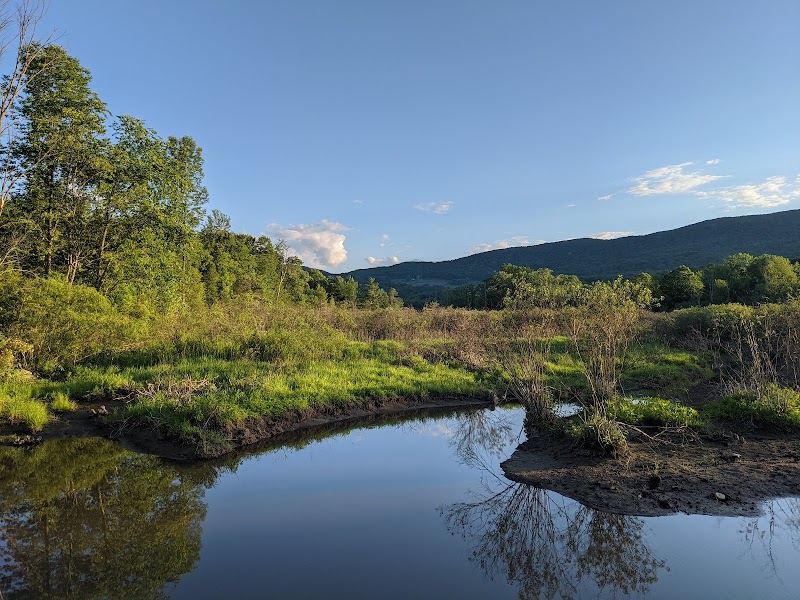 Norman and Selma Greenberg Conservation Reserve