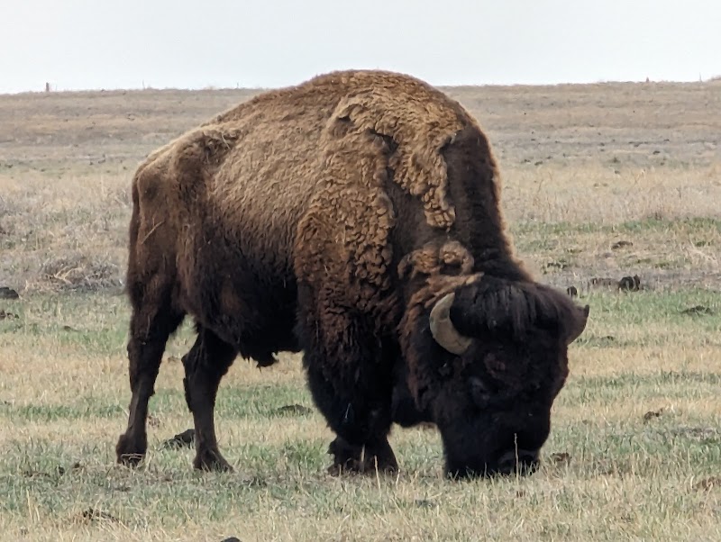 Rocky Mountain Arsenal National Wildlife Refuge