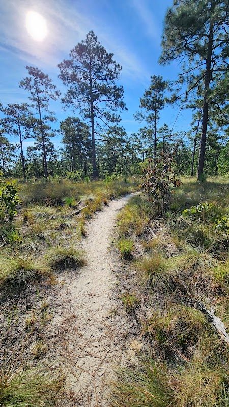 Smith Lake MTB Trail Parking, Fort Liberty