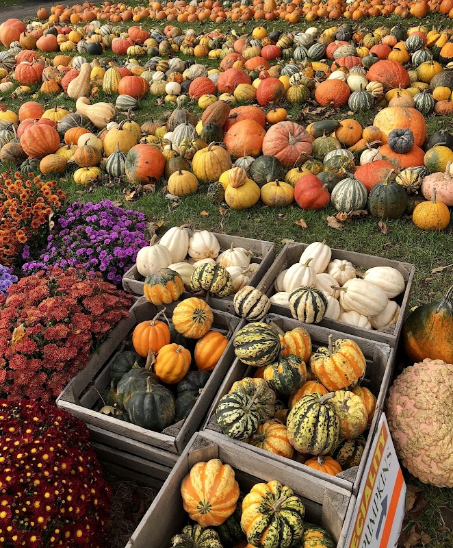 Ford Farm Market