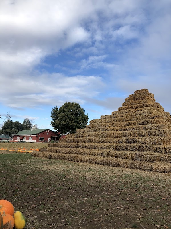 Phoenix & Holly Railroad, Inc