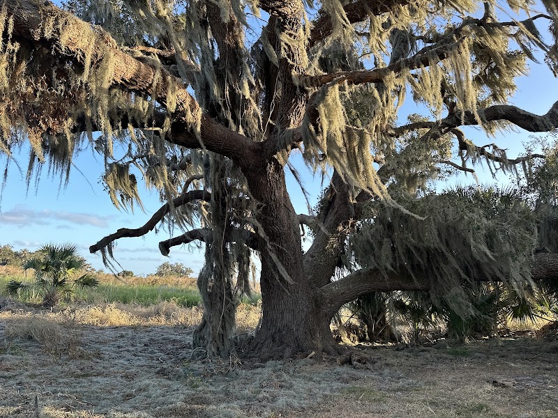 Eagle Camp
