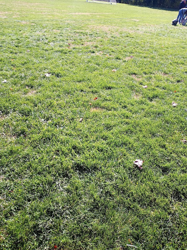 Laurel Beech Park - Springfield Township Montco