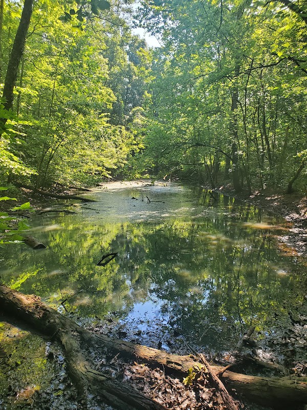 William Hastie Natural Area