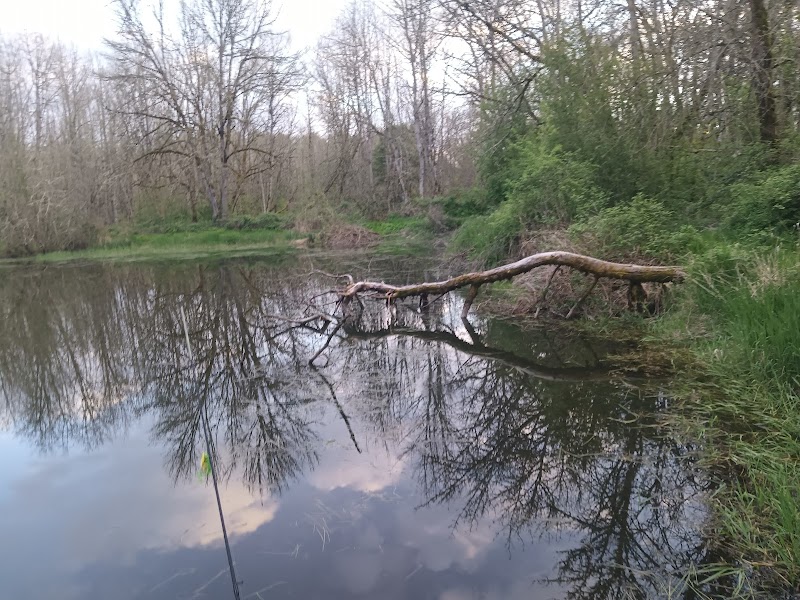 Shorty's Pond (Park)