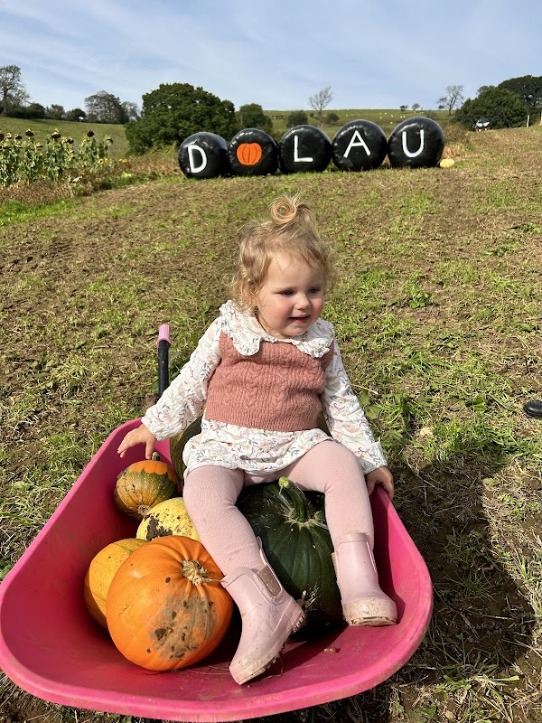 The Bridgend Pumpkin Patch