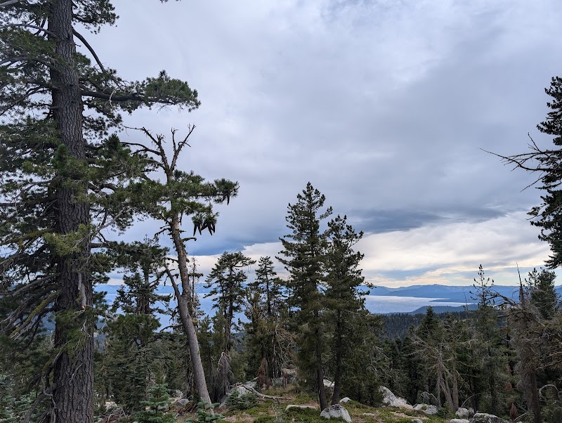 Tyrolian Downhill Mountain Bike Trail