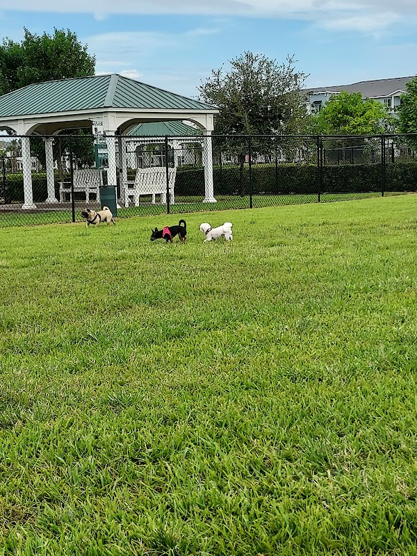 Boynton Village Park and Dog Park