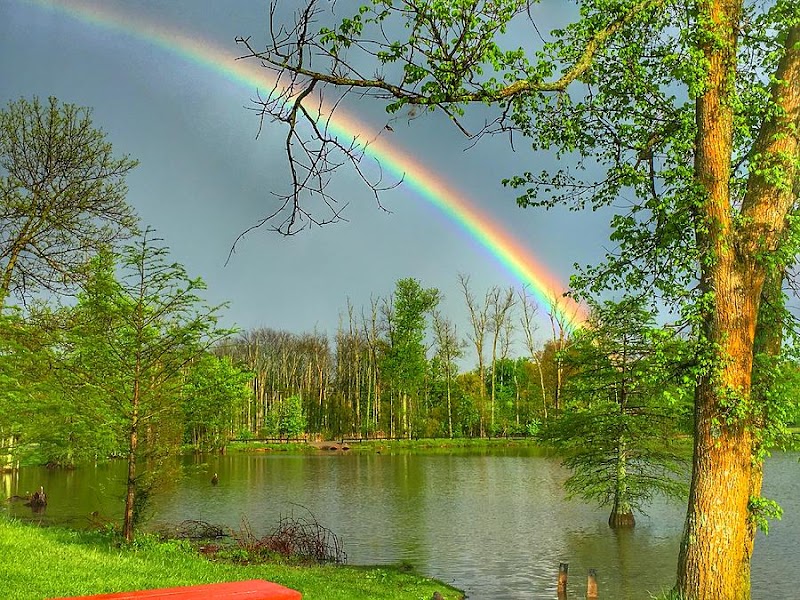 Sumoflam Productions