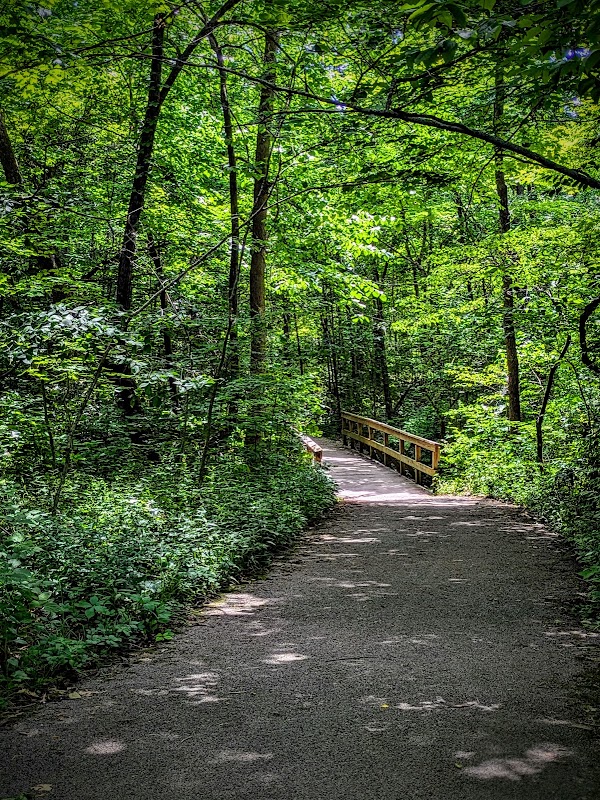 Darby Creek Park (Control)