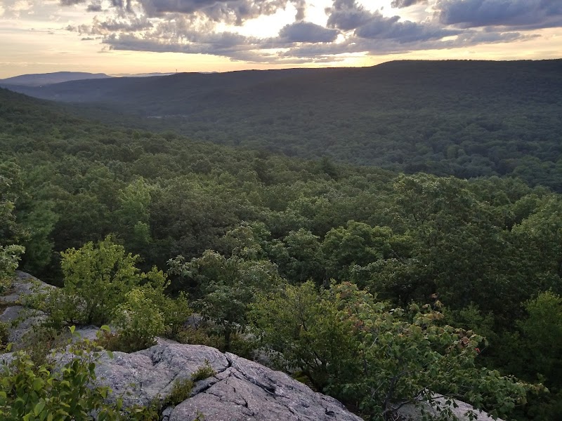 Sterling Forest Corporation