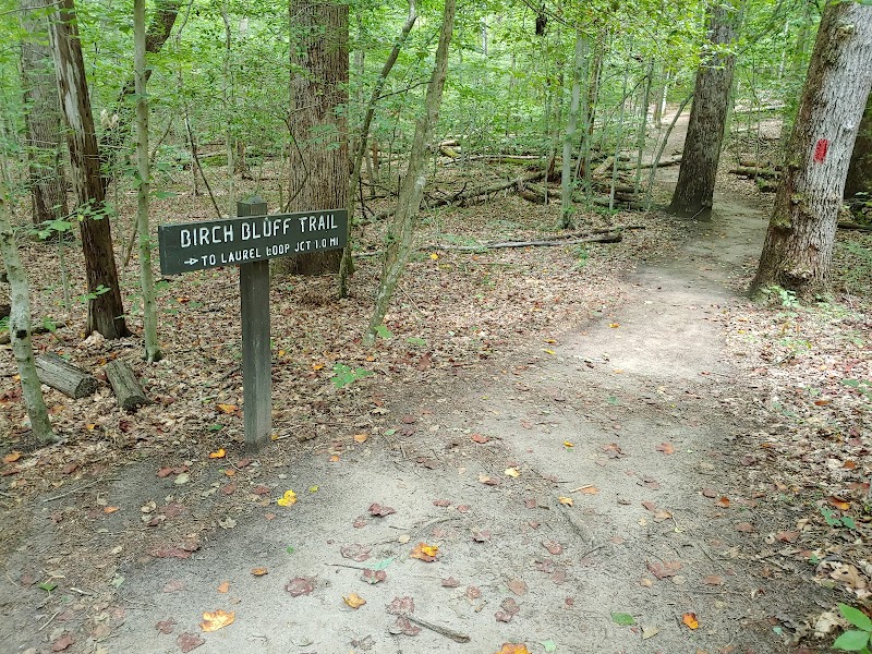Laurel Loop Trail