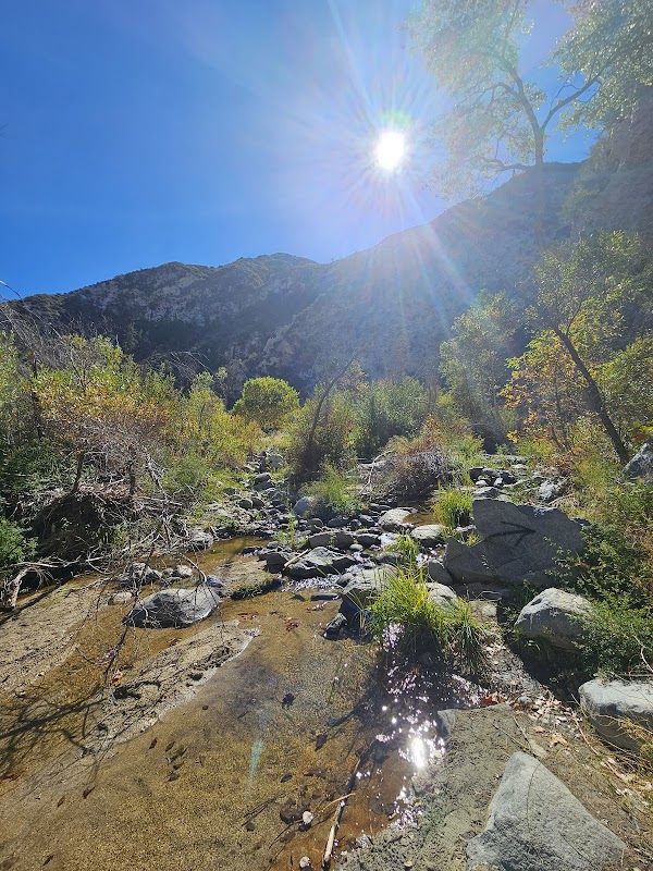 Fall Creek Trail Camp