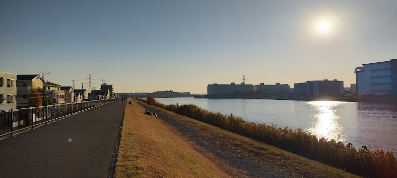 富士見旧江戸川護岸遊歩道
