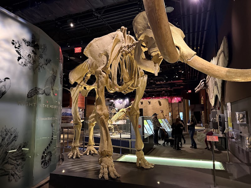 Nevada State Museum, Las Vegas