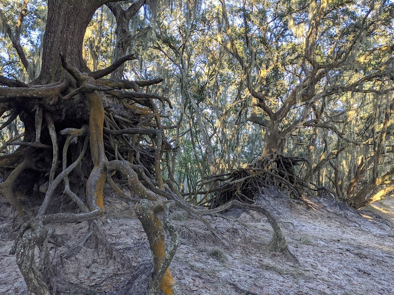 Hillsborough County Medard Park