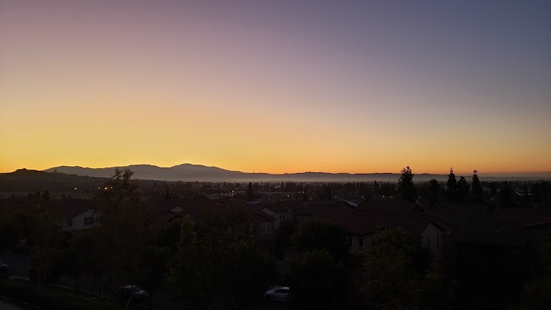 Signal Hill Private View