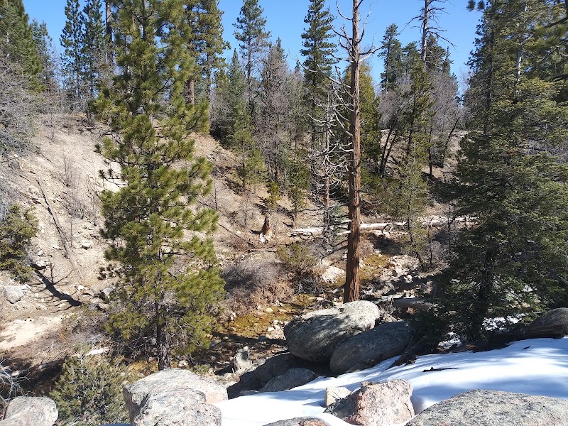 Children's Forest Exploration Trail 2W09X