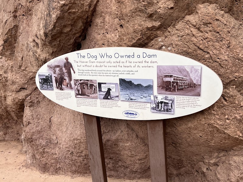 The Dog Who Owned a Dam
