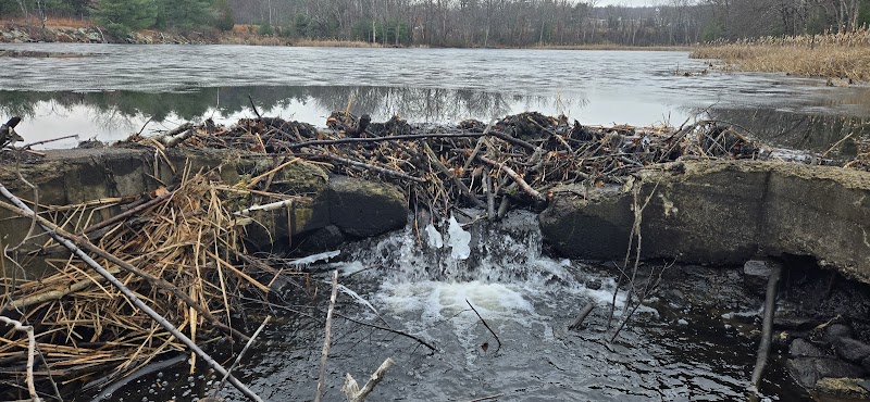Sebille Pond Dam