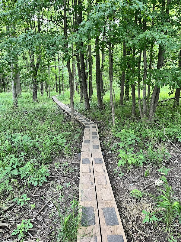 Peter J. Barnes III Wildlife Preserve