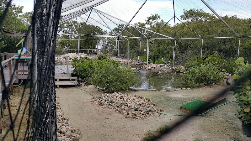 Centro de recuperacion de aves