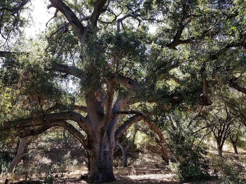 Thomas F. Riley Wilderness Park