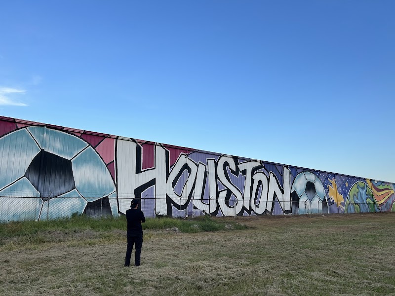 Houston mural