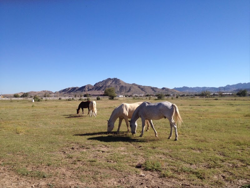 Coach Jack D. Quarles Park