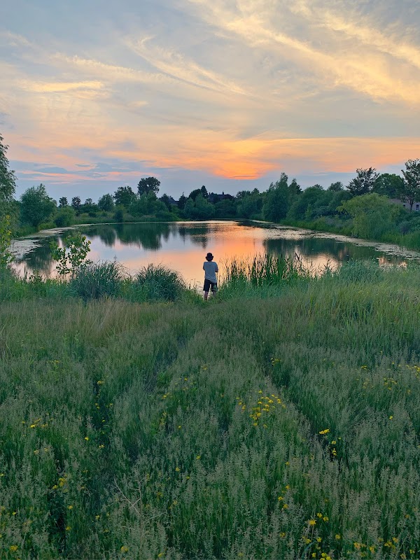 Matthew Rodzik Park