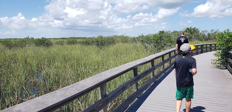 Navy Wells Pineland Preserve