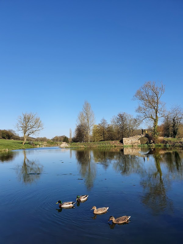 Goosard Batch Nature Reserve