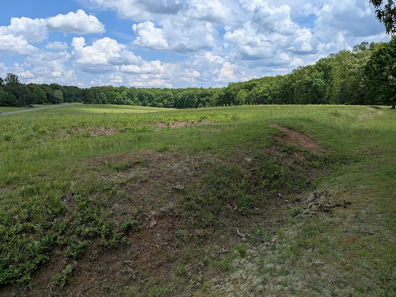 Wilderness Battlefield