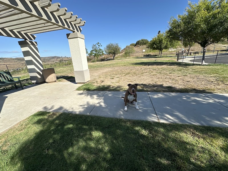 SLR Dog Park